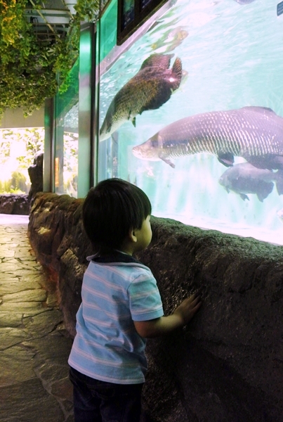 d0179113_050948.jpg