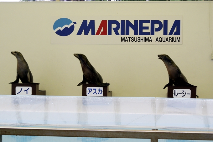 d0179113_051951.jpg