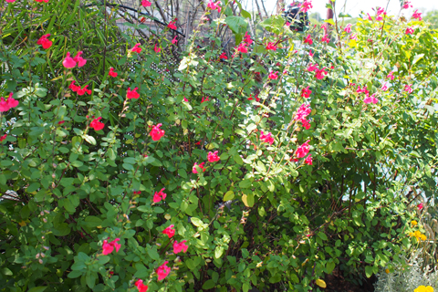 d0063314_035150.jpg