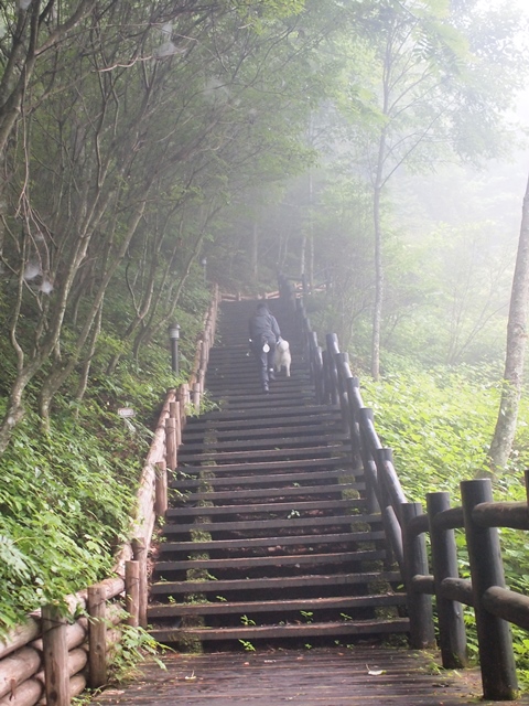 b0207615_0315720.jpg