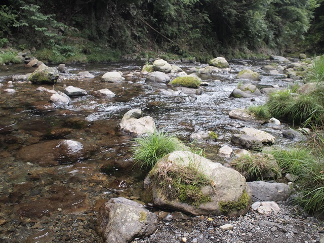 b0207615_0325779.jpg