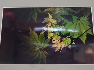 c0189218_839550.jpg