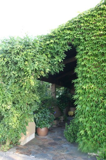 c0071221_1555688.jpg