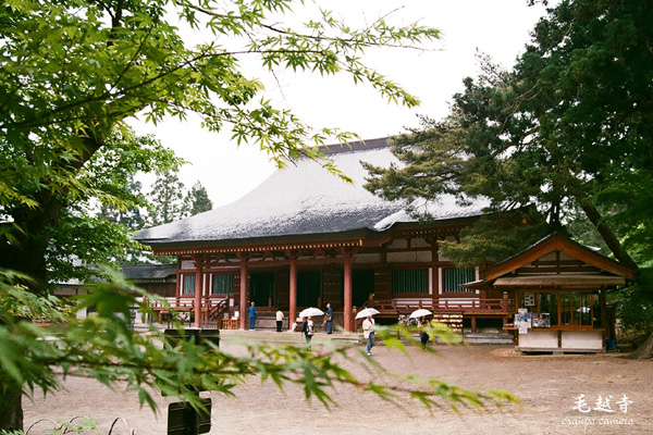 d0155821_23293624.jpg