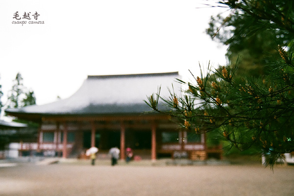 d0155821_23294063.jpg
