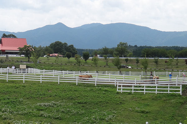 f0007926_9283730.jpg