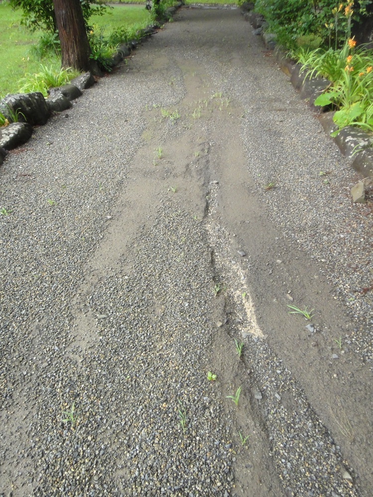 c0111229_18132476.jpg