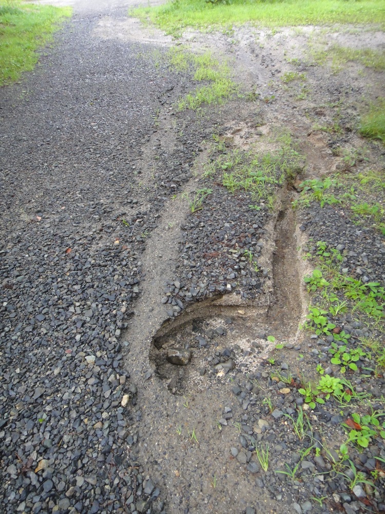 c0111229_1814642.jpg