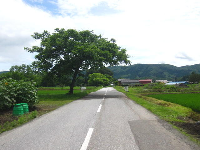 d0088735_23493545.jpg