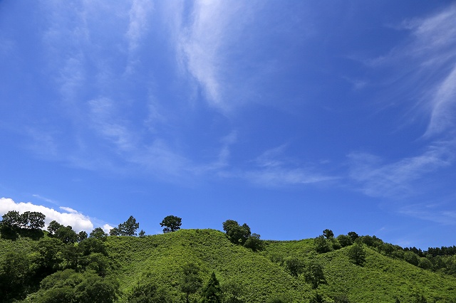 a0242438_21295167.jpg