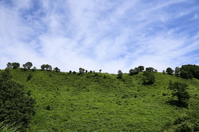 a0242438_21295687.jpg