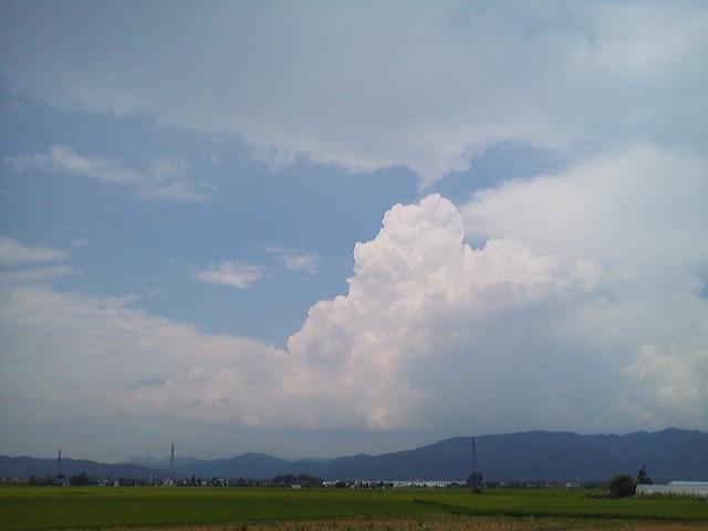 a0272241_2212540.jpg
