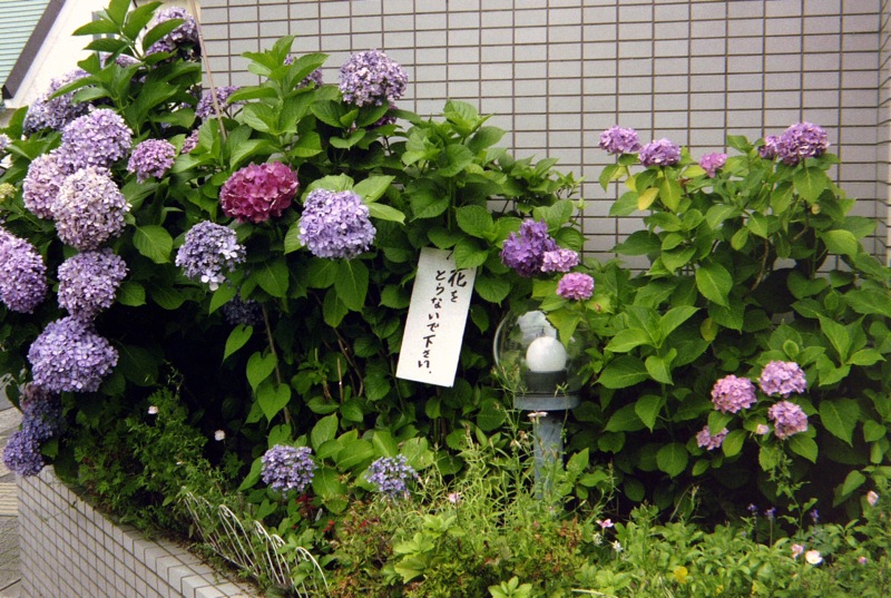 d0089742_22105324.jpg