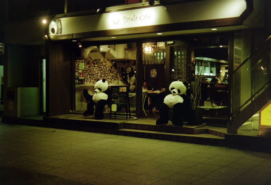 d0089742_2225572.jpg