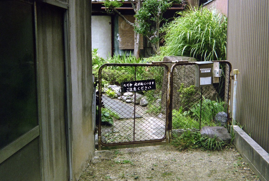 d0089742_228953.jpg
