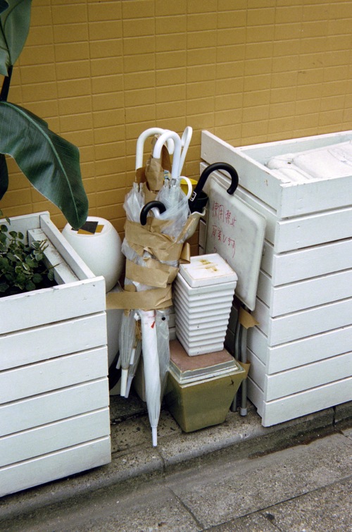d0089742_22986.jpg