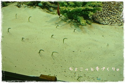 e0132844_94412.jpg