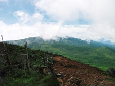 f0036354_13141536.jpg