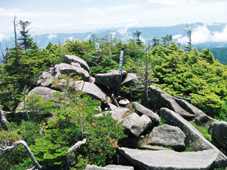 f0036354_13155494.jpg
