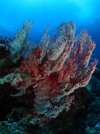 b0138768_20102595.jpg