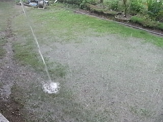 a0146070_4564765.jpg