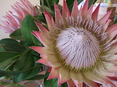 f0238081_1516156.jpg