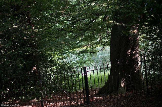 e0043686_13571154.jpg