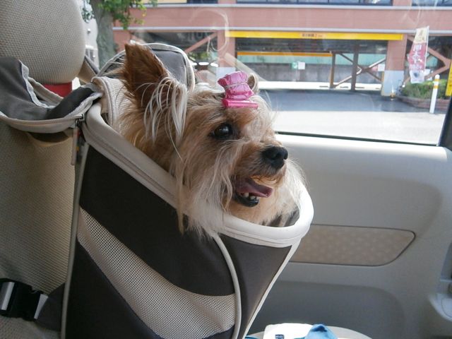 f0130894_2122411.jpg