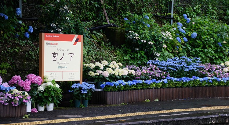 b0145398_19563837.jpg