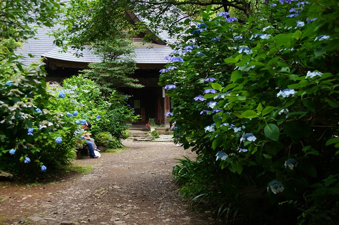 b0145398_20543916.jpg