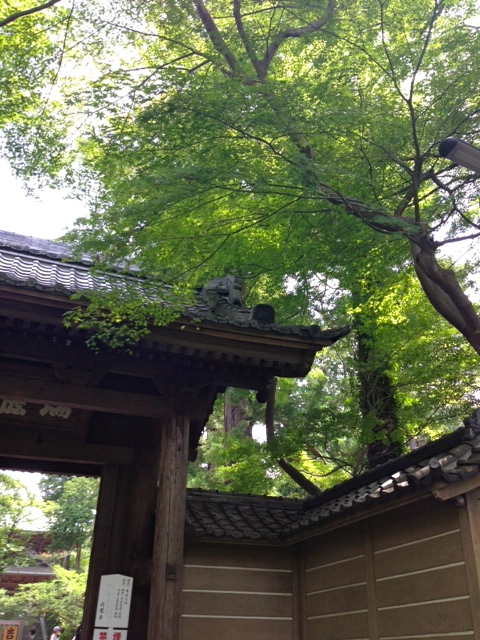 b0083902_14687.jpg