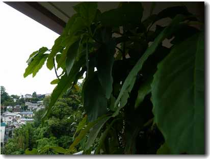 f0221708_1613795.jpg