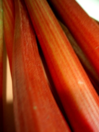 f0043911_2335944.jpg