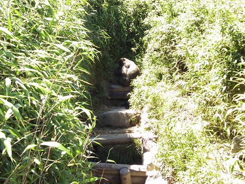 e0238313_2136325.jpg