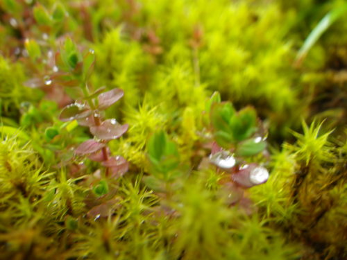 e0238313_233191.jpg