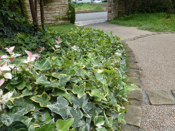 f0033314_17475238.jpg