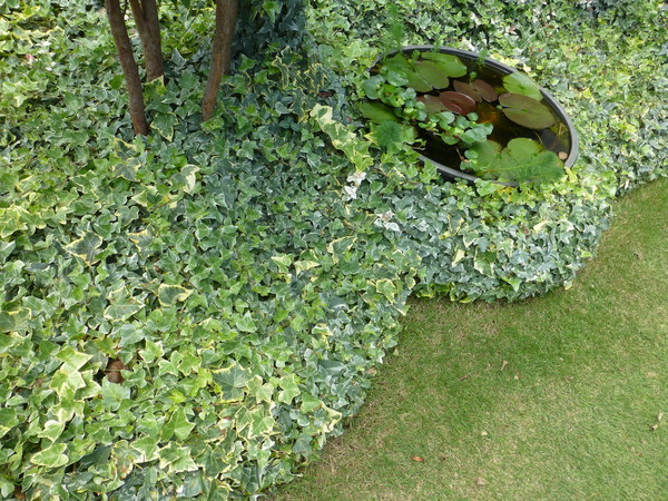 f0033314_17482675.jpg