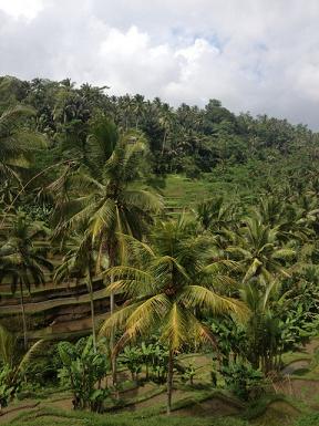 f0214521_15534952.jpg