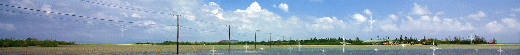 a0098027_23304296.gif