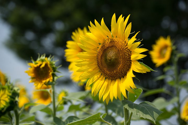 b0134829_1495284.jpg