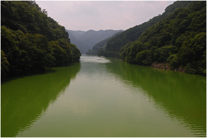 d0029829_13125735.jpg