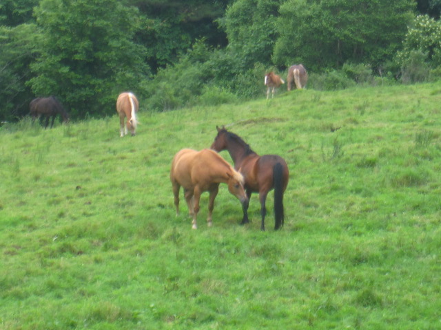 d0088735_0554724.jpg
