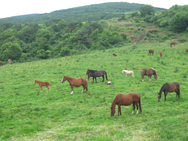 d0088735_0564671.jpg