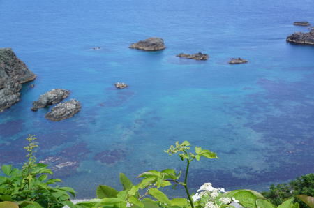 b0001440_21284494.jpg