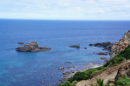 b0001440_2129994.jpg