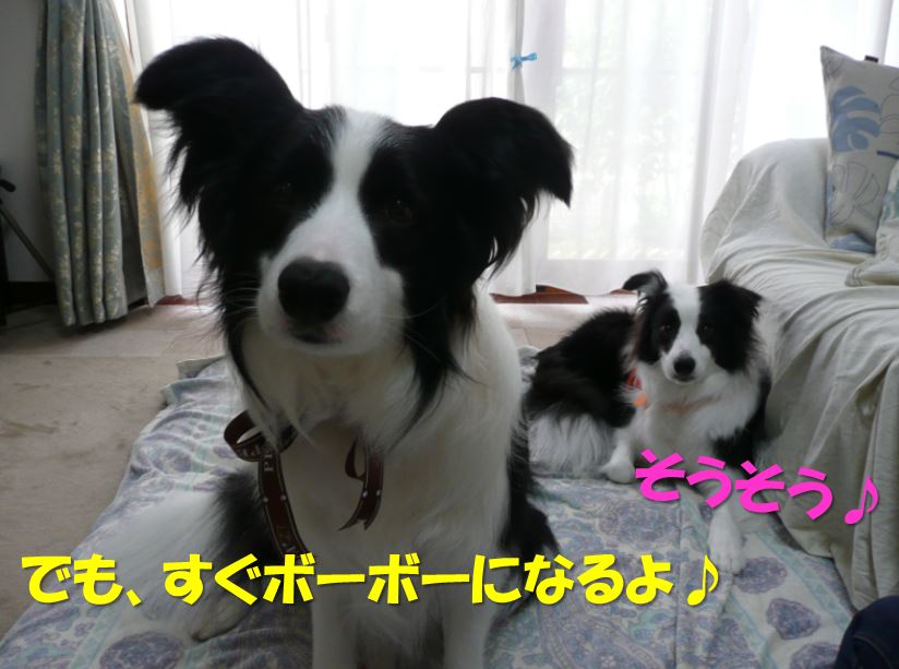 c0147241_19551535.jpg