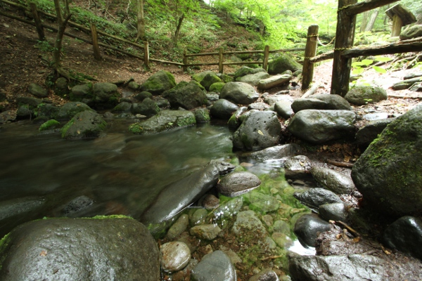 e0227942_22324389.jpg