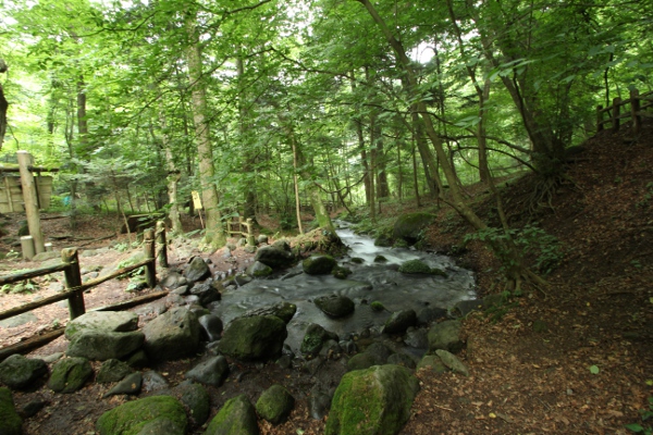 e0227942_22432284.jpg