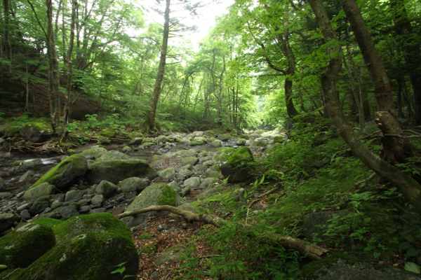 e0227942_22523213.jpg