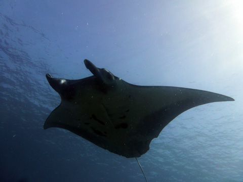 f0014842_19104420.jpg